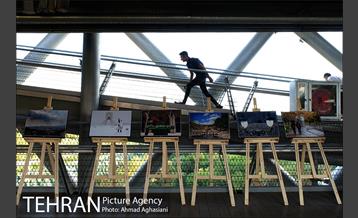 نمایشگاه “طبیعت تهران” بر روی پل طبیعت 14