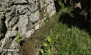 دومین جشنواره شکوفه‌های گیلاس 19