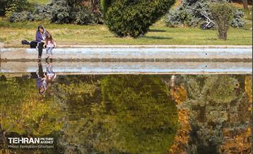 سمفونی رنگ های پاییزی / فریدون قربانی