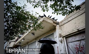 بارش باران بهاری در تهران 15