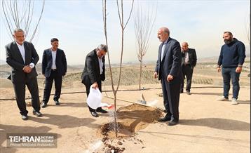 بهره‌برداری از فاز دوم طرح جنگلکاری کمربند سبز 10