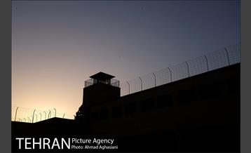 باغ موزه قصر 37