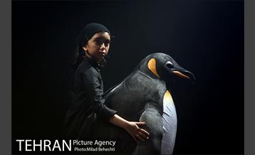 نمایش مرگ و پنگوئن  16