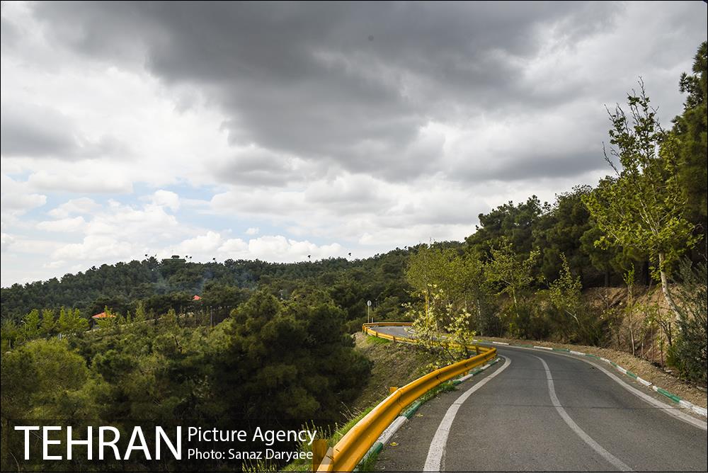 بوستان جنگلی لویزان 28