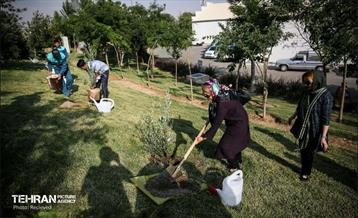 مادرانه‌ای برای شهر من 48