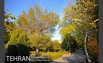 طبیعت پاییزی بوستان لاله 2