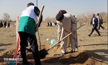 نکوداشت روز درخت‌کاری با حضور رئیس جمهور