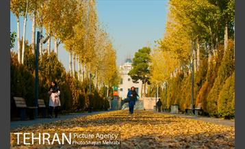 پاییز باغ موزه قصر 33