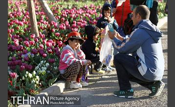 جشنواره لاله‌ها در بوستان زندگی محله هرندی 12