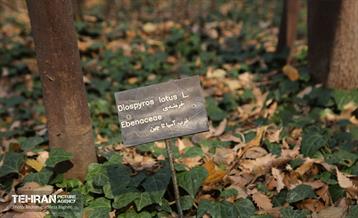 بازدید گروه های دوام مناطق از باغ گیاه شناسی ملی 7