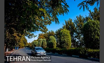 بوستان جنگلی چیتگر 11