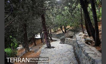 بوستان جمشیدیه 14