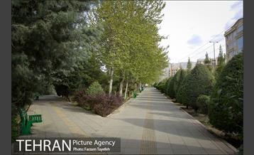 روز طبیعت در بوستان هاى منطقه ٥