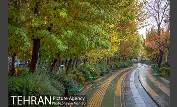 پاییز در بوستان المهدی(عج) 5