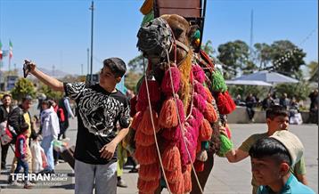غرفه‌های استقبال از بهار شهرداری تهران 5