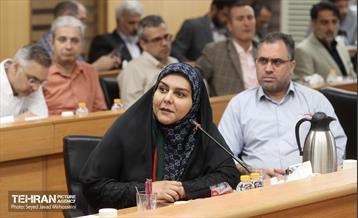 هفتمین جلسه هم اندیشی  سرمایه گذاری و مشارکت در پروژه های کلان شهری 11