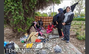 روز طبیعت بارانی در بوستان رازی 27