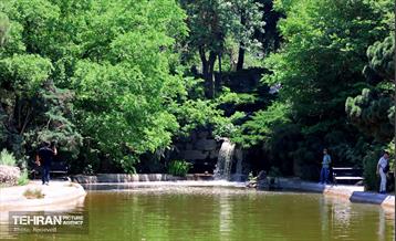 طبیعت بهاری در باغ ملی گیاهشناسی ایران 2