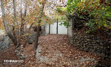 طبیعت پاییزی کوچه باغ‌های محله کن 23