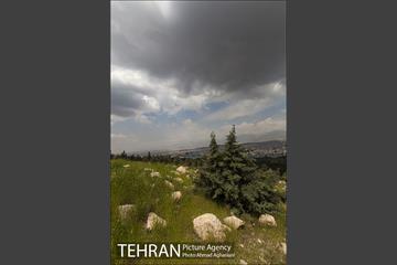 بوستان جنگلی سرخه حصار 9