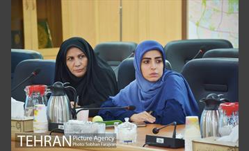 جلسه شورای دبیران هیئت های اجرایی انتخابات شورایاری محلات شهر تهران 7