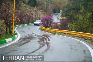 طبیعت بهاری پارک جنگلی لویزان‎  8