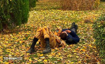 سمفونی رنگ های پاییزی / مینا پوراحد