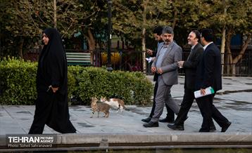 بازدید اعضای شورای شهر از پروژه‌های منطقه 11 36