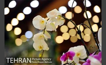 نمایشگاه گل و گیاه در بوستان گفتگو 42