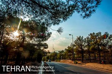 بوستان جنگلی چیتگر 33