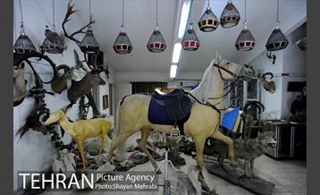 موزه طبیعت و حیات وحش دارآباد تهران 20