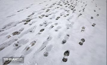 بارش برف زمستانی در تهران 29