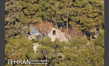 روزهای آفتابی زمستان 22