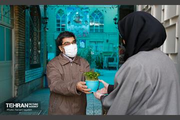 آیین محله تکانی در شهرک بیمه 15