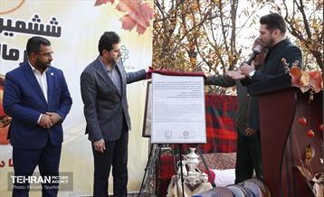 ششمین جشنواره خرمالو 4