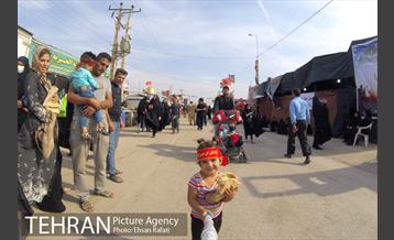 زائران مسیر کربلا  18