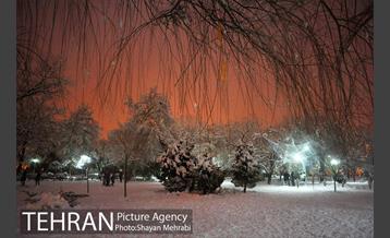 روز برفی در پارک لاله 17