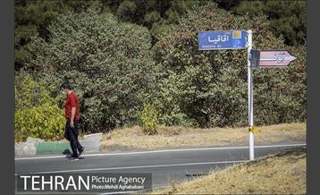 بوستان سرخه حصار 20