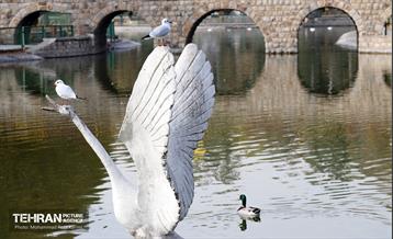 گردهمایی خانواده شهرداری منطقه ۱۶ در بوستان بعثت 12
