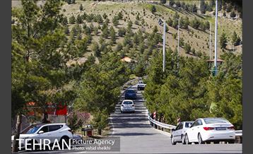 بوستان جنگلی کوهسار 11