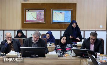 بازدید کمیسیون برنامه و بودجه شورای شهر از پروژه‌های منطقه 11 8