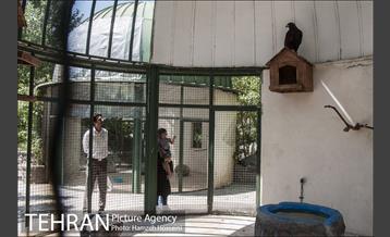 باغ پرندگان تهران 6