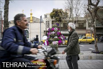 استقبال از بهار در خیابانهای تهران 3