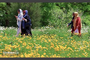 طبیعت بهاری در باغ ملی گیاهشناسی ایران 15