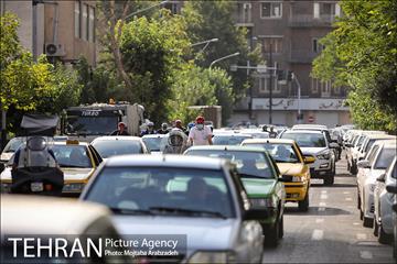 پویش سه شنبه های بدون خودرو 17