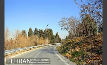 پارک جنگلی سرخه حصار 4