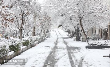 صبح آدینه برفی  29