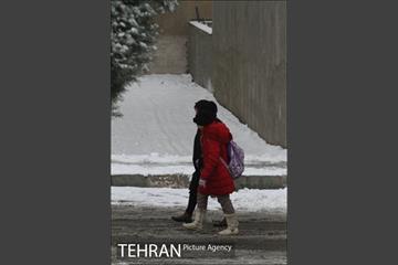 بارش برف در تهران 13