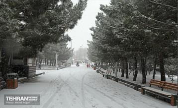 بارش برف زمستانی در منطقه ۲ 5