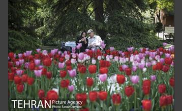 روز تعطیل در بوستان ملت 17